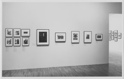 Installation photo, 14 of 43