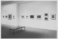 Recent Acquisitions: Photography. Jan 19–Apr 11, 1995.