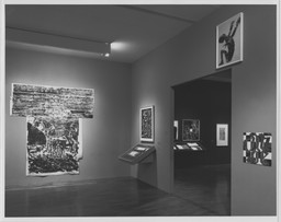 Installation photo, 14 of 32
