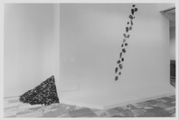 On the Edge: Contemporary Art from the Werner and Elaine Dannheisser Collection. Sep 30, 1997–Jan 20, 1998. 1 other work identified