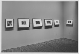 Installation photo, 19 of 81