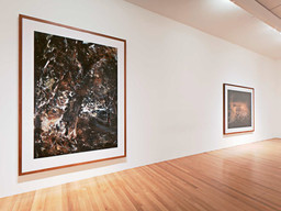 Installation photo, 43 of 61
