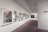 Life of the City. Feb 28–May 21, 2002. 3 other works identified