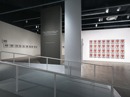 Installation photo, 19 of 48