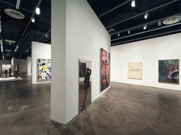 Installation photo, 41 of 48