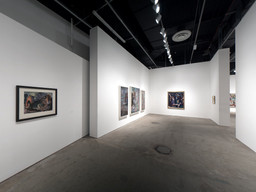 Installation photo, 50 of 55