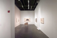 Kiki Smith: Prints, Books, and Things. Dec 5, 2003–Mar 4, 2004. 1 other work identified