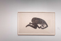 Kiki Smith: Prints, Books, and Things. Dec 5, 2003–Mar 4, 2004.