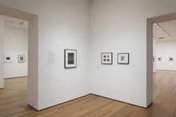 Installation photo, 5 of 50