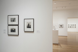 Installation photo, 10 of 50