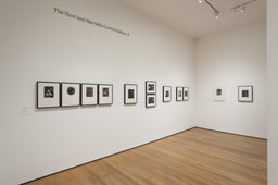 Installation photo, 12 of 50