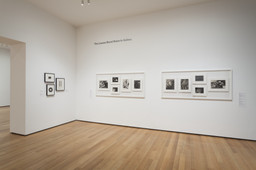 Installation photo, 19 of 50