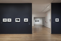 The Shape of Things: Photographs from Robert B. Menschel. Oct 29, 2016–May 7, 2017. 2 other works identified
