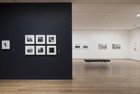 The Shape of Things: Photographs from Robert B. Menschel. Oct 29, 2016–May 7, 2017. 3 other works identified