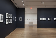 The Shape of Things: Photographs from Robert B. Menschel. Oct 29, 2016–May 7, 2017. 2 other works identified