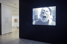 Installation photo, 36 of 57