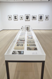 Installation photo, 40 of 57