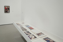 Installation photo, 16 of 43