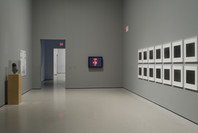 Multiplex: Directions in Art, 1970 to Now. Nov 21, 2007–Jul 21, 2008. 3 other works identified