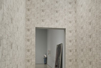 Multiplex: Directions in Art, 1970 to Now. Nov 21, 2007–Jul 21, 2008. 4 other works identified
