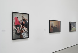 Installation photo, 35 of 43
