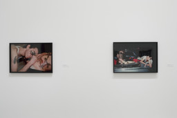 Installation photo, 38 of 43
