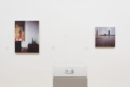 Installation photo, 35 of 130