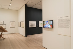 Installation photo, 46 of 88