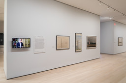 Installation photo, 64 of 88