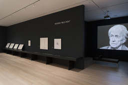 Installation photo, 65 of 88