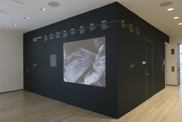 Installation photo, 88 of 88