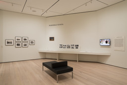 Installation photo, 20 of 88