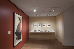 Installation photo, 5 of 22