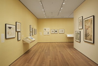 The Paris of Toulouse-Lautrec: Prints and Posters. Jul 26, 2014–Mar 22, 2015. 12 other works identified
