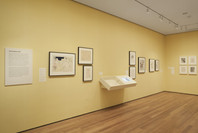 The Paris of Toulouse-Lautrec: Prints and Posters. Jul 26, 2014–Mar 22, 2015. 11 other works identified