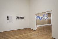 Henri Matisse: The Cut-Outs. Oct 12, 2014–Feb 10, 2015.
