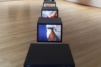 Sturtevant: Double Trouble. Nov 9, 2014–Feb 22, 2015.