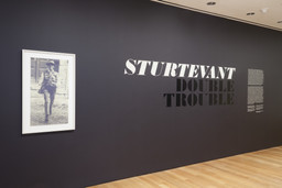 Installation photo, 1 of 52