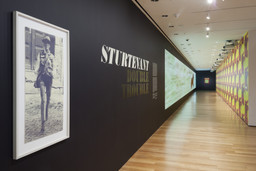 Installation photo, 2 of 52