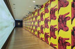 Installation photo, 4 of 52