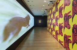 Installation photo, 5 of 52