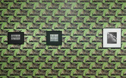 Installation photo, 7 of 52