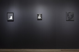 Installation photo, 10 of 52