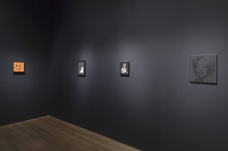 Installation photo, 12 of 52