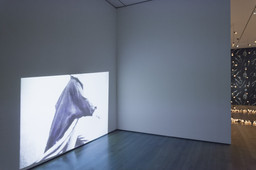 Installation photo, 24 of 52