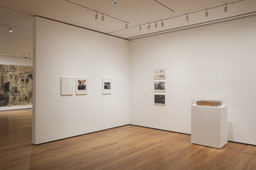 Installation photo, 12 of 26