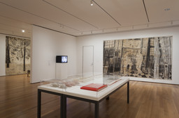 Installation photo, 17 of 26