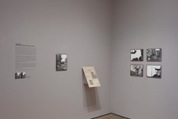 Installation photo, 5 of 20
