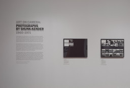 Installation photo, 6 of 20