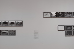 Installation photo, 20 of 20